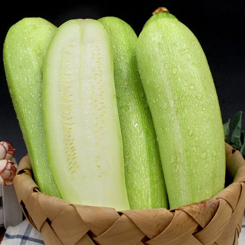 山东农家新鲜西葫芦5斤现摘新鲜蔬菜孕妇宝宝健康辅食2斤包邮
