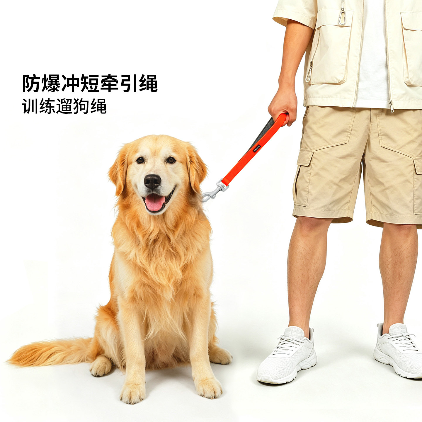 BeauGo贝宝捷狗狗牵引绳狗绳牵引绳大型犬训练短牵引绳训犬牵引绳图片