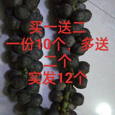 追风野生越南泡酒鲜果