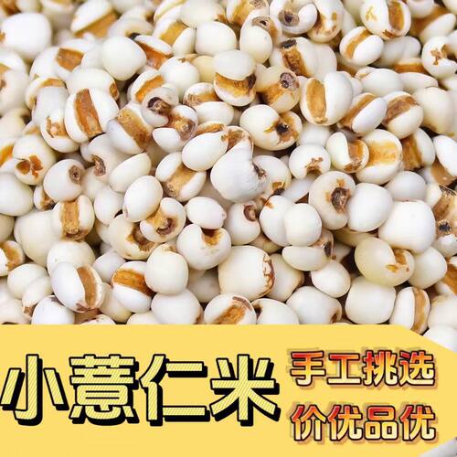 薏苡仁中药材正品无熏硫无杂质