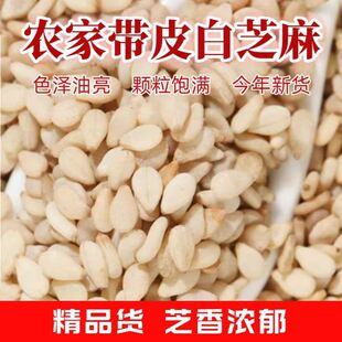 带皮生白芝麻即食无添加生的白芝麻干净无沙农家新货五谷杂粮500g