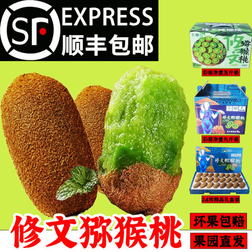 贵州修文贵长猕猴桃新鲜产地直发