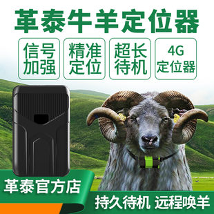 革泰神州10号牛羊定位器骆驼马gps卫星北斗定位山区放牧追踪神器
