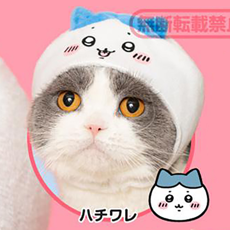 【谷子】预售嘲讽熊猫咪头套扭蛋 KITAN奇谭白熊八字猫栗馒头