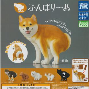 【谷子】预售正版   拉便便的小狗 蹲着拉粑粑的柴犬摆