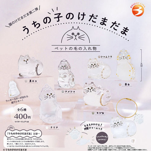 【晴谷】现货扭蛋BRIGHT
