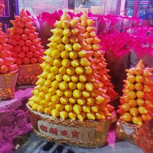 广州佛山年宵花卉黄金果盆栽五代同堂乳茄果五指茄鲜果前台大绿植