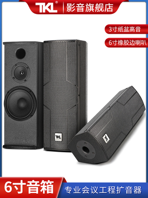 TKL H06 6寸会议专用音响音柱无源全频背景音乐会议室音箱壁挂