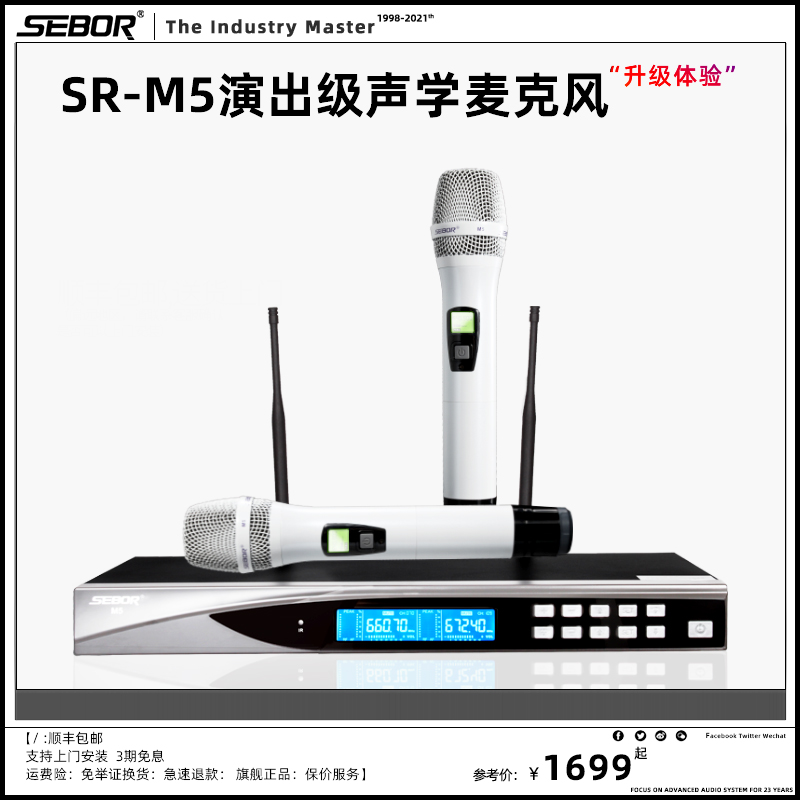 SEBOR M5-专业无线话筒一拖二麦克风家用ktv卡拉K唱歌u段演出舞台