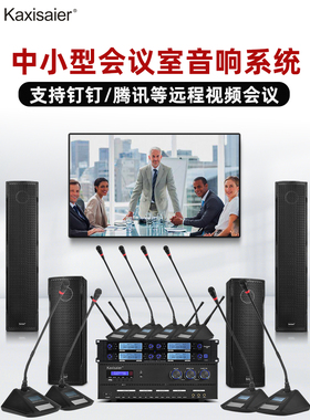 KAXISAIER SK8/SK10/S80axisaier中小型会议音响套装多媒体室音响