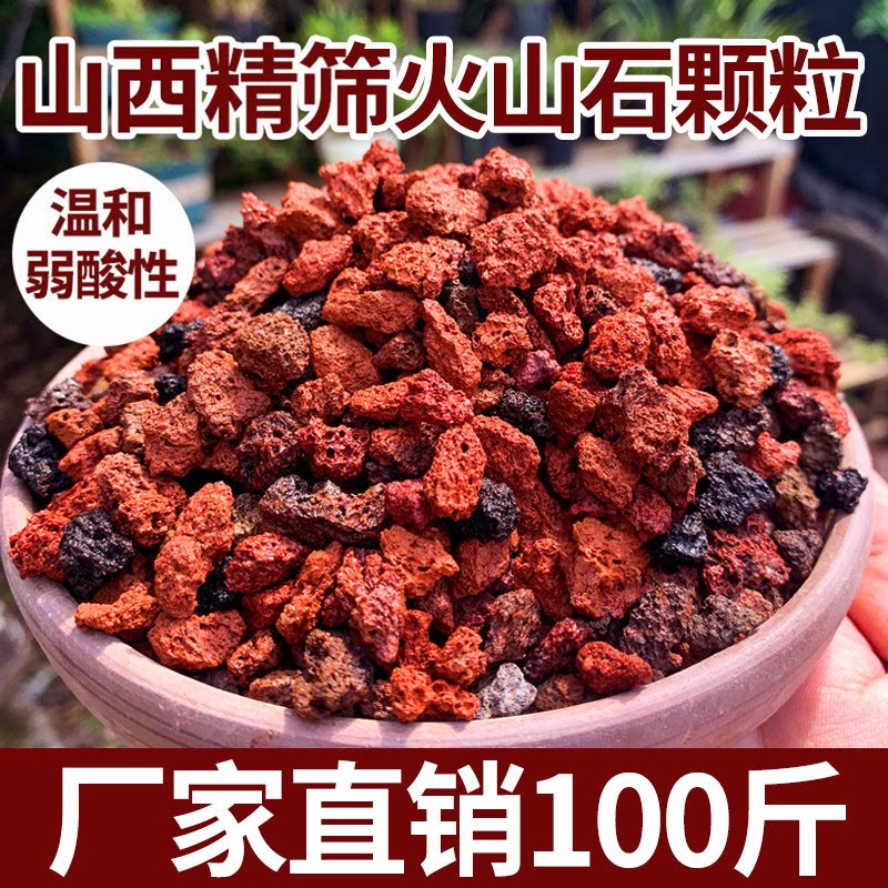 火山石颗粒鱼缸乌龟专用造景底砂过滤滤材园艺盆栽多肉兰花专用