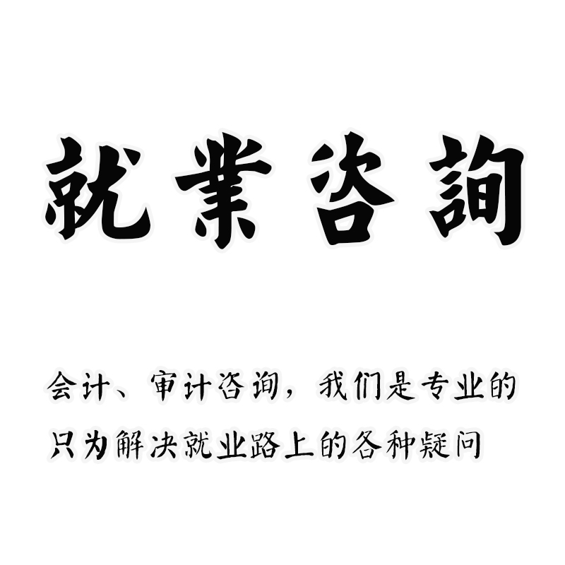 就业咨询审计财务商科数据财务分析会计四大八大会计师事务所