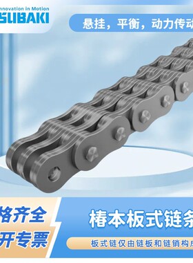 TSUBAKI日本椿本板式提升链平衡链系列AL422BL拖链链工业传动链条