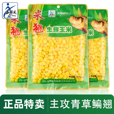 西部风米翘钓鱼专用嫩玉米野钓生鲜甜糯玉米粒鲤鳊翘嘴饵料打窝料