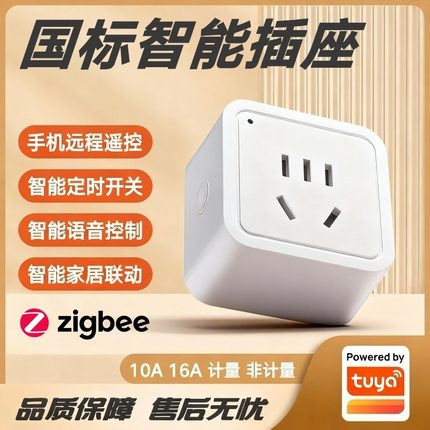涂鸦方案国标Zigbee智能插座10A/16A电动车鱼缸水族定时开关插板