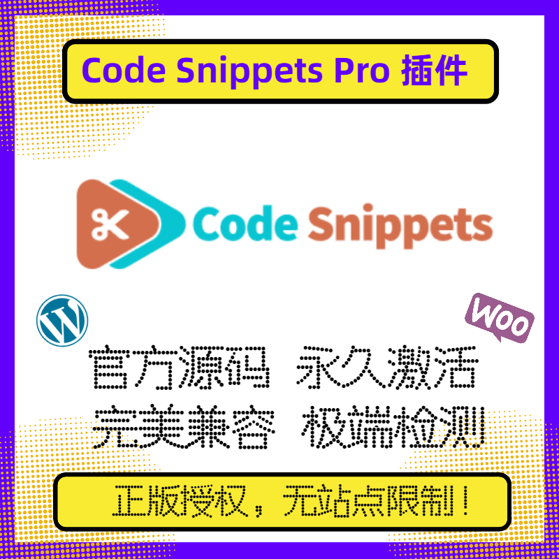 Code Snippets Pro插件 WP代码段插件多站点站群插件官方原版-封面