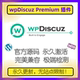 官方原版 wpDiscuz 帖子互动 多功能插件 Premium插件 WP评论插件