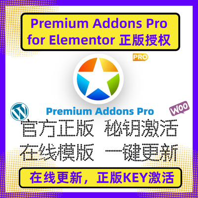 Premium Addons Pro For Elementor 插件 Elementor拓展 正版授权