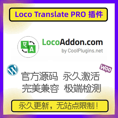 Loco Translate PRO插件 WP自动翻译 主题插件自动翻译 官方原版