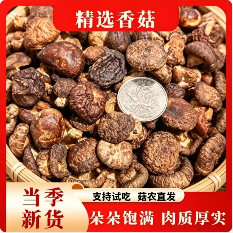 云南丽江珍珠菇小香菇干货金钱菇剪脚肉厚干冬菇小花菇特产500g