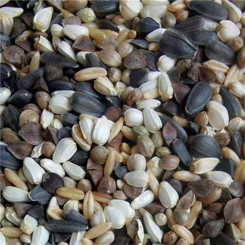 欧立海小太阳鹦鹉混合粮