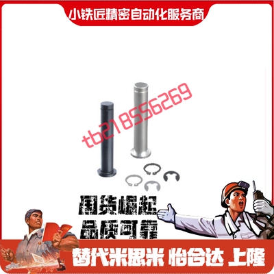 带肩铰链销MIC0102061112