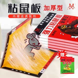 强力粘鼠板加大加厚专粘大老鼠贴捉灭鼠工具捕鼠器可折叠送引诱剂