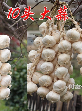 餐厅吊顶挂串竹编斗笠帽装饰