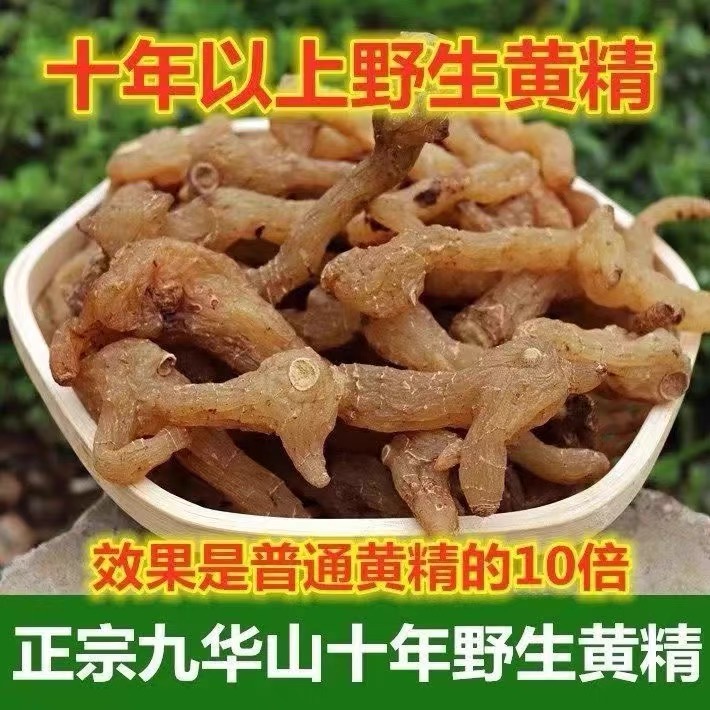 正宗九华山十年野生鸡头黄精500g