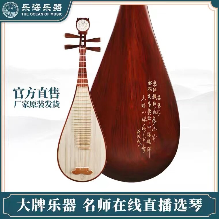 乐海琵琶乐器 特氏古夷苏木刻诗花开富贵琵琶专业考级红木琵琶913怎么样,好用不?