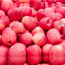 正宗山东烟台苹果栖霞红富士水果10当季 整箱脆甜新鲜应5斤平萍果