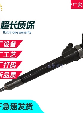 柴油电喷共轨全新喷油器总成0445110502适用于瓦滋2.2CD 08