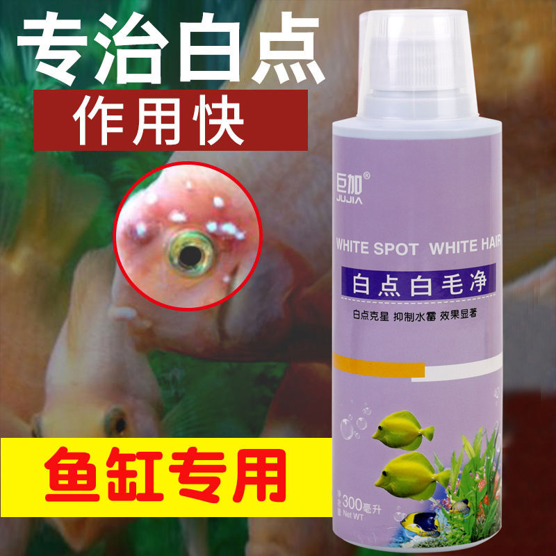 观赏鱼白点白毛腐烂药鹦鹉鱼地图锦鲤金鱼药小瓜虫水霉病热带鱼药