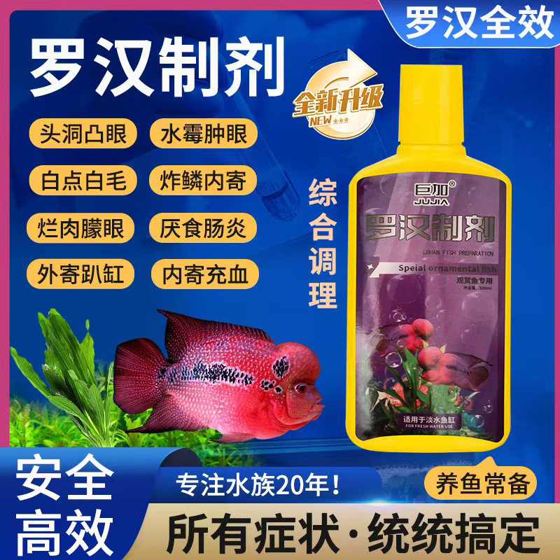 罗汉鱼药热带鱼药花罗汉专用鱼药观赏鱼药水族药凸眼肠炎头洞烂尾
