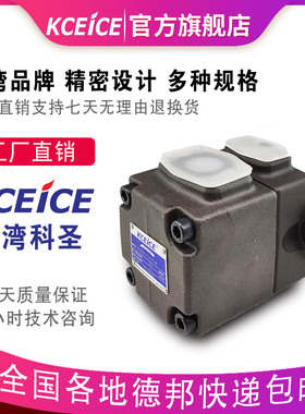 台湾PV2R1-23-F-RAA-41叶片泵R12-25-19-17-31-14-10-RAB-RAR-F-R