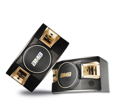 BMB CSV480家庭KTV卡包音响10寸卡拉ok舞台会议舞蹈室专用音箱