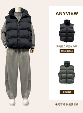 Anyview专柜同款男士羽绒马甲立领高克重新国标90绒排骨宽松保暖