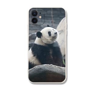 大熊猫萌兰手机壳适用苹果14Promax套iPhone11/16周边12华为mate60熊猫15三太子p小米13西直门vivo套oppo荣耀