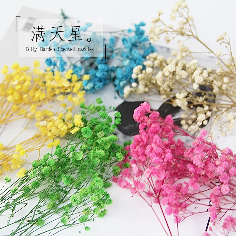 满天星永生花干花材料