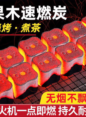 速燃炭烧烤碳无烟果木炭专用易燃家用户外竹炭块围炉煮茶引火木炭
