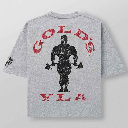 GOLDSGYM宽松全棉美式运动t恤灰
