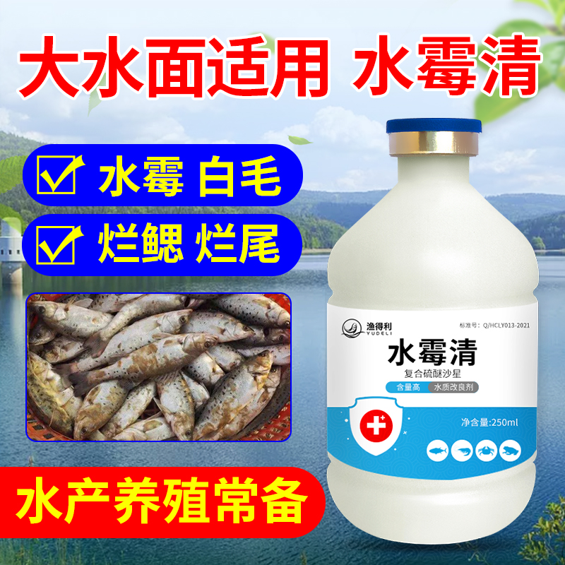 水霉病专治鱼药水霉净水产养殖专用鱼塘白毛病腐皮烂鳃烂尾水霉清