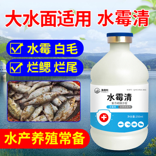 水霉病专治鱼药水霉净水产养殖专用鱼塘白毛病腐皮烂鳃烂尾水霉清