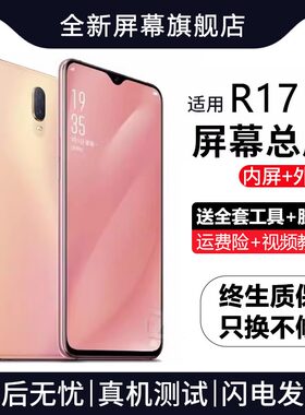 适用or17屏幕总成原装带
