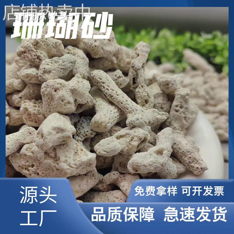 厂家现货滤材 珊瑚砂 珊瑚骨 鱼缸造景装饰水族馆过滤珊瑚石