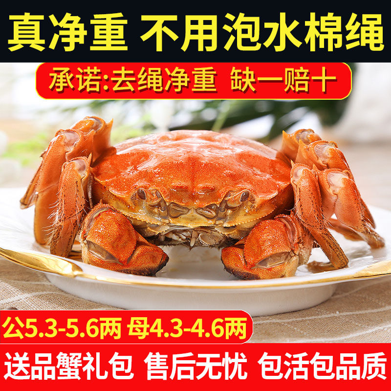 【活蟹】公5.5母4.5两大闸蟹特大溱湖簖蟹去绳净重香草捆扎6-10只,水产肉类/新鲜蔬果/熟食,大闸蟹,淘宝优惠券,粉丝福利购,淘宝优惠卷