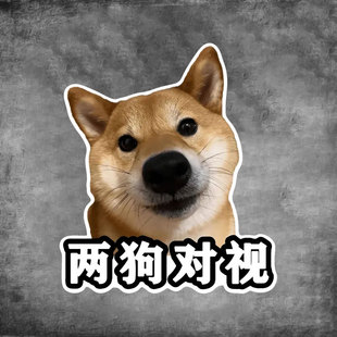 柴犬吨吨两狗对视车贴搞笑表情包个性创意装饰贴防水后窗玻璃贴画