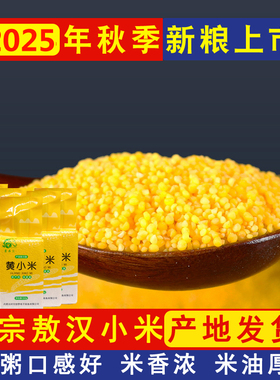 敖汉小米25年新米小黄米500g内蒙古赤峰食用杂粮大金苗k1蒙品汇