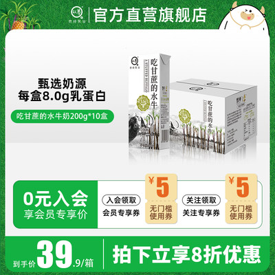 品质水牛奶认养吃甘蔗的水牛