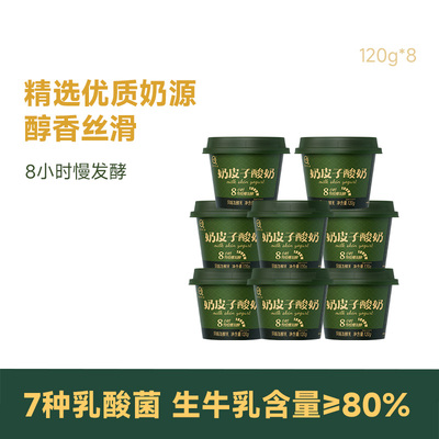 认养鲜奶皮子酸奶120g低温营养代餐顺丰发货